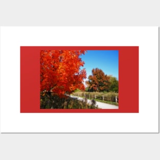 Fall in Pennsylvania Posters and Art